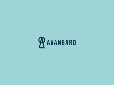 Image of project AVANGARD