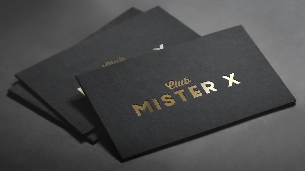 Image of project MISTER X