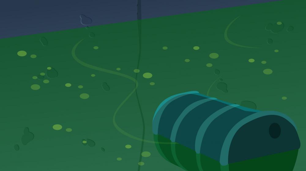 Image of project Molly Cartoon