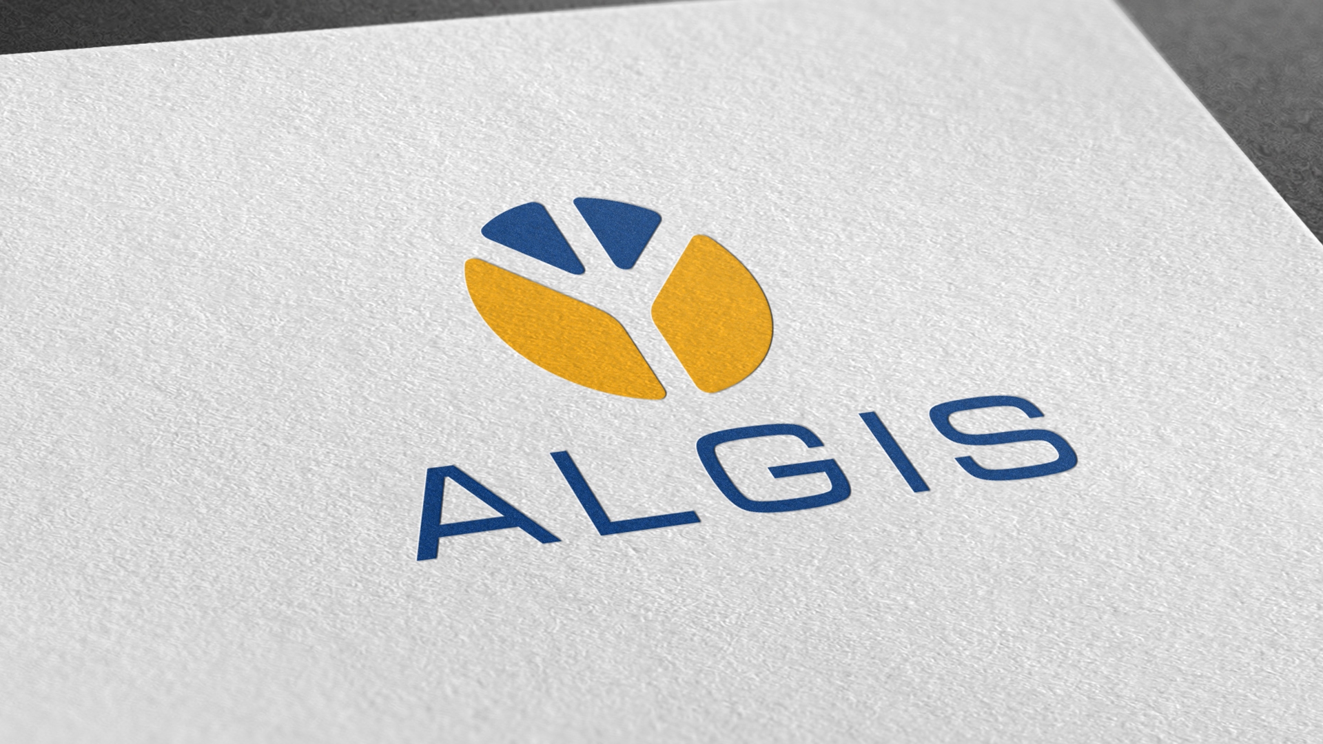 Image of project Algis