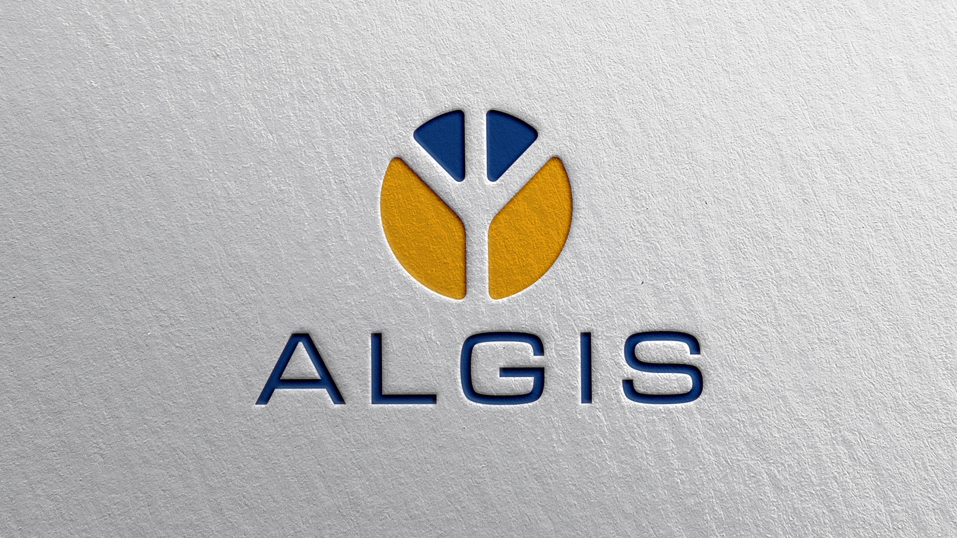 Image of project Algis