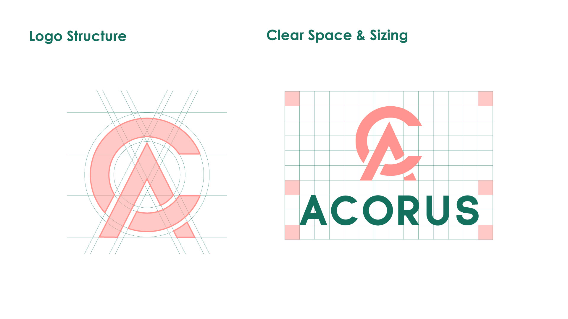 Image of project Acorus