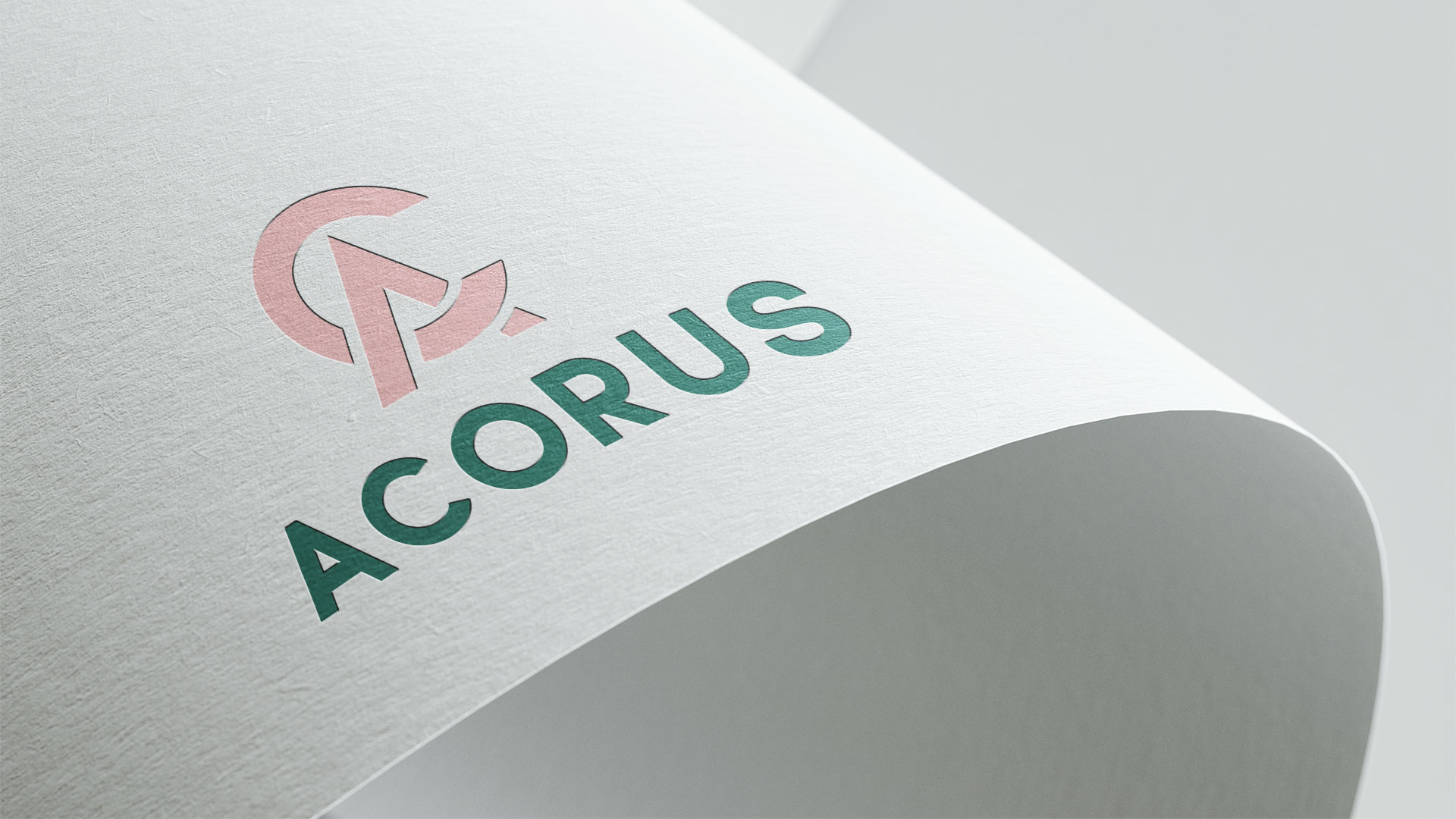 Image of project Acorus