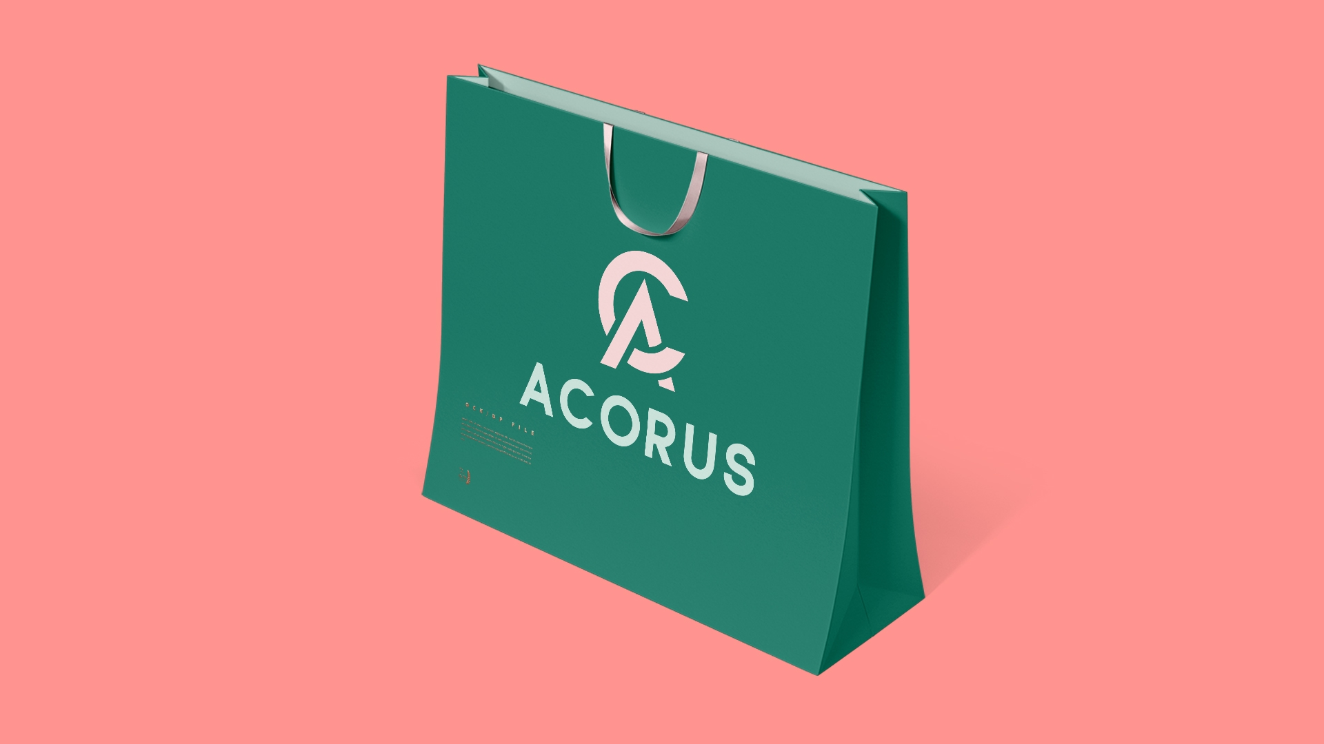 Image of project Acorus