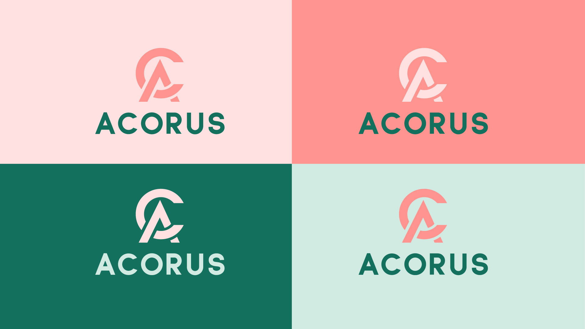 Image of project Acorus