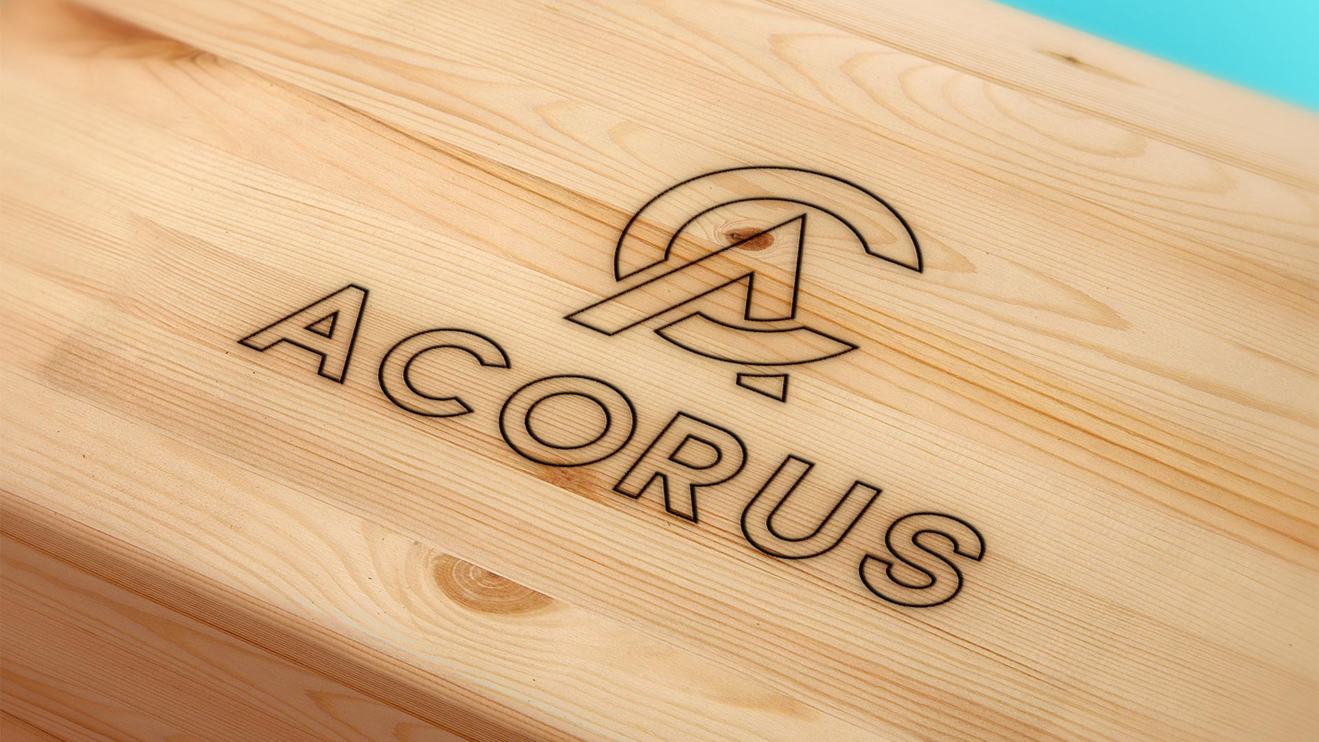 Image of project Acorus